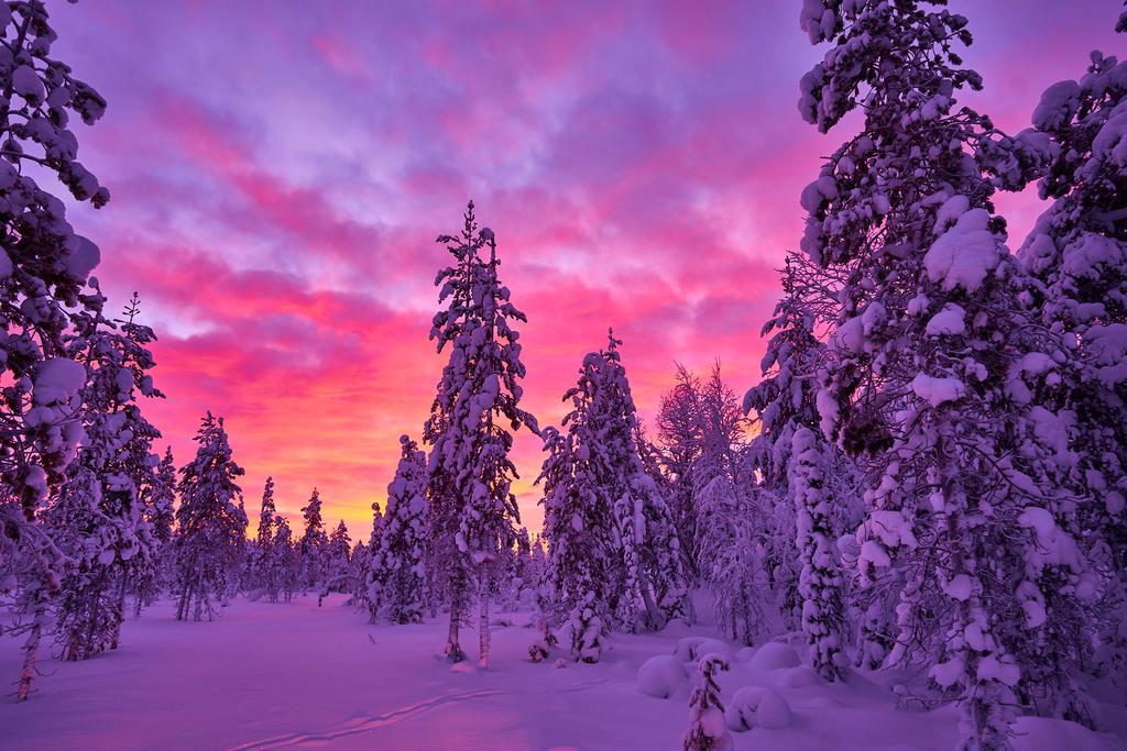 Lapland Guesthouse Kangos エクステリア 写真