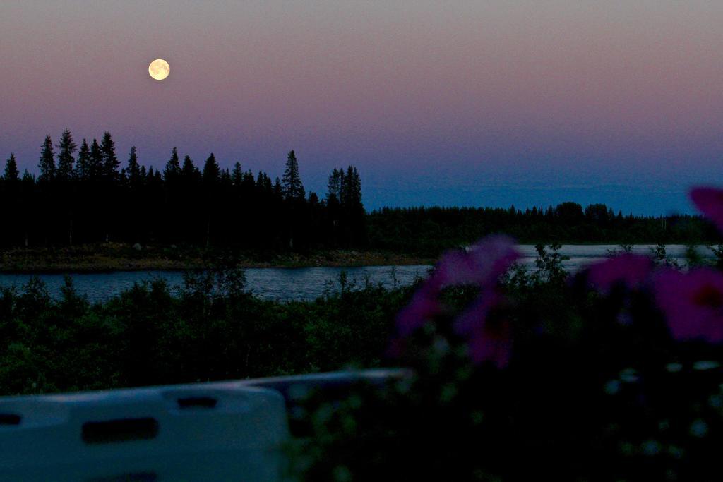 Lapland Guesthouse Kangos エクステリア 写真