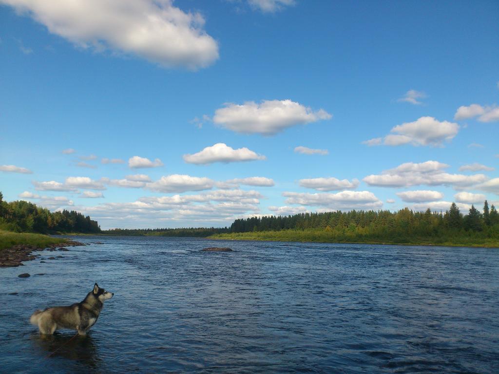 Lapland Guesthouse Kangos エクステリア 写真