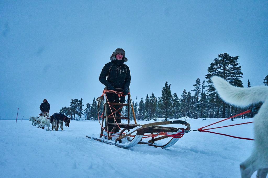 Lapland Guesthouse Kangos エクステリア 写真